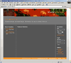 Brand Leverage Website